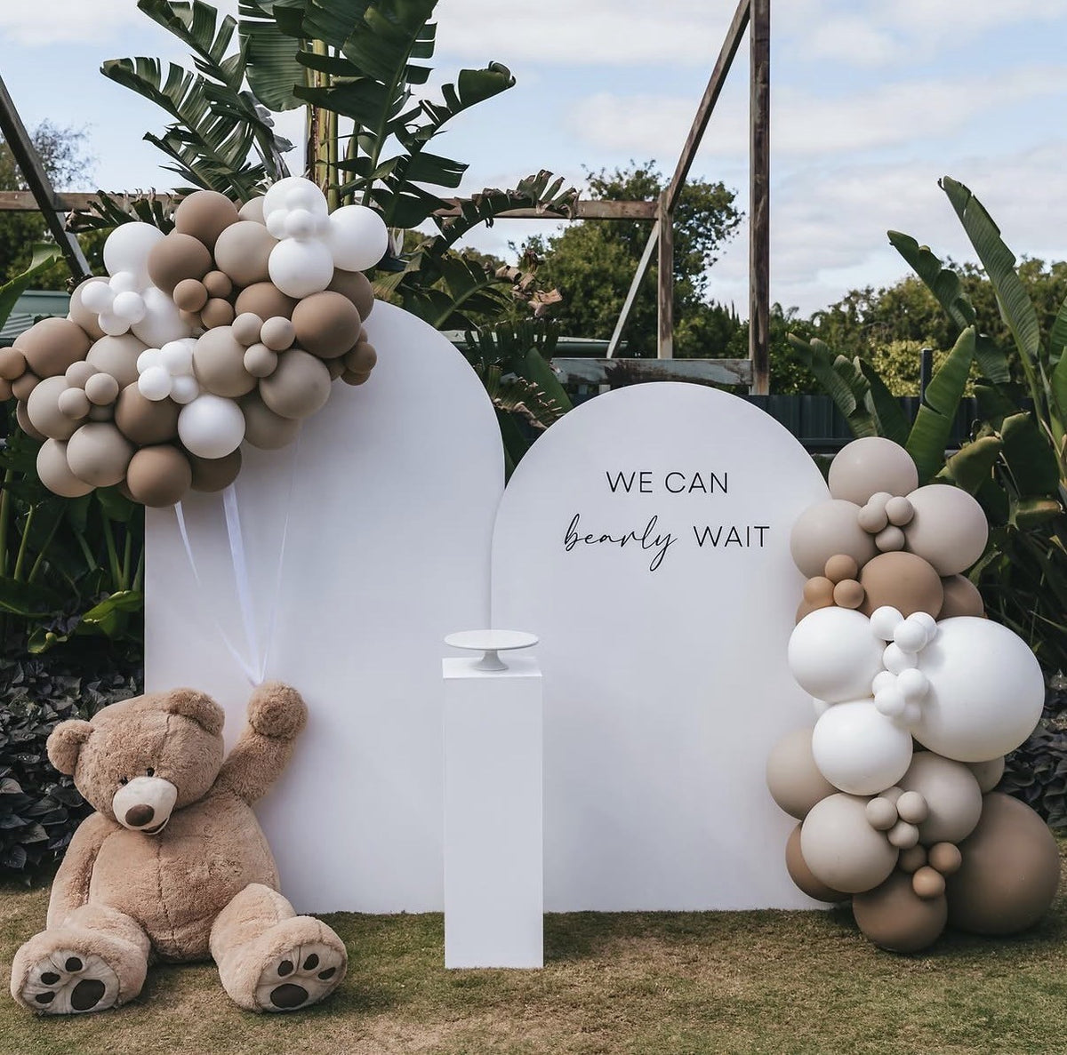 TEDDY BEAR PACKAGE