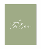THE OLIVE PACKAGE