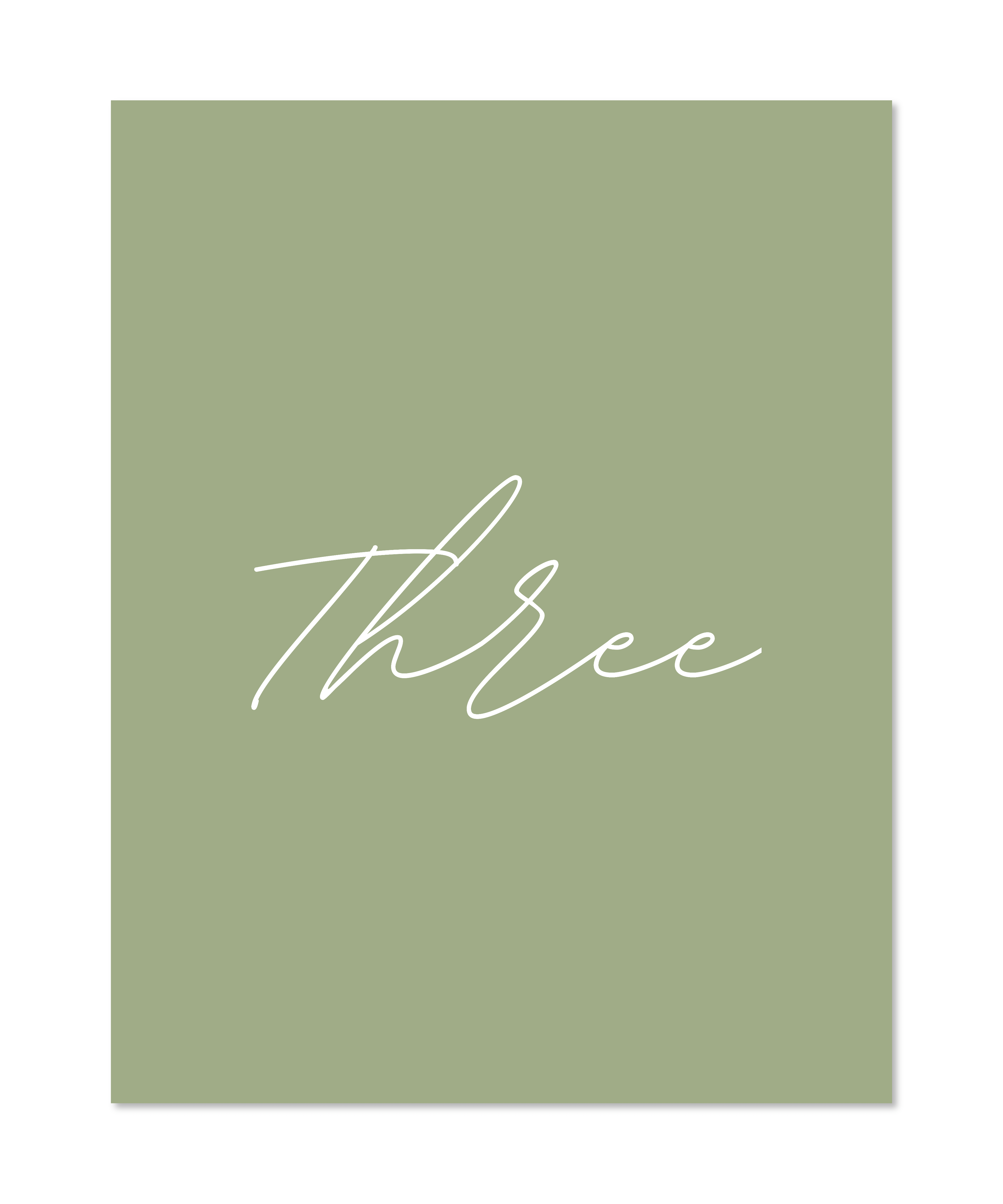 THE OLIVE PACKAGE