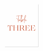 THE TERRA PACKAGE