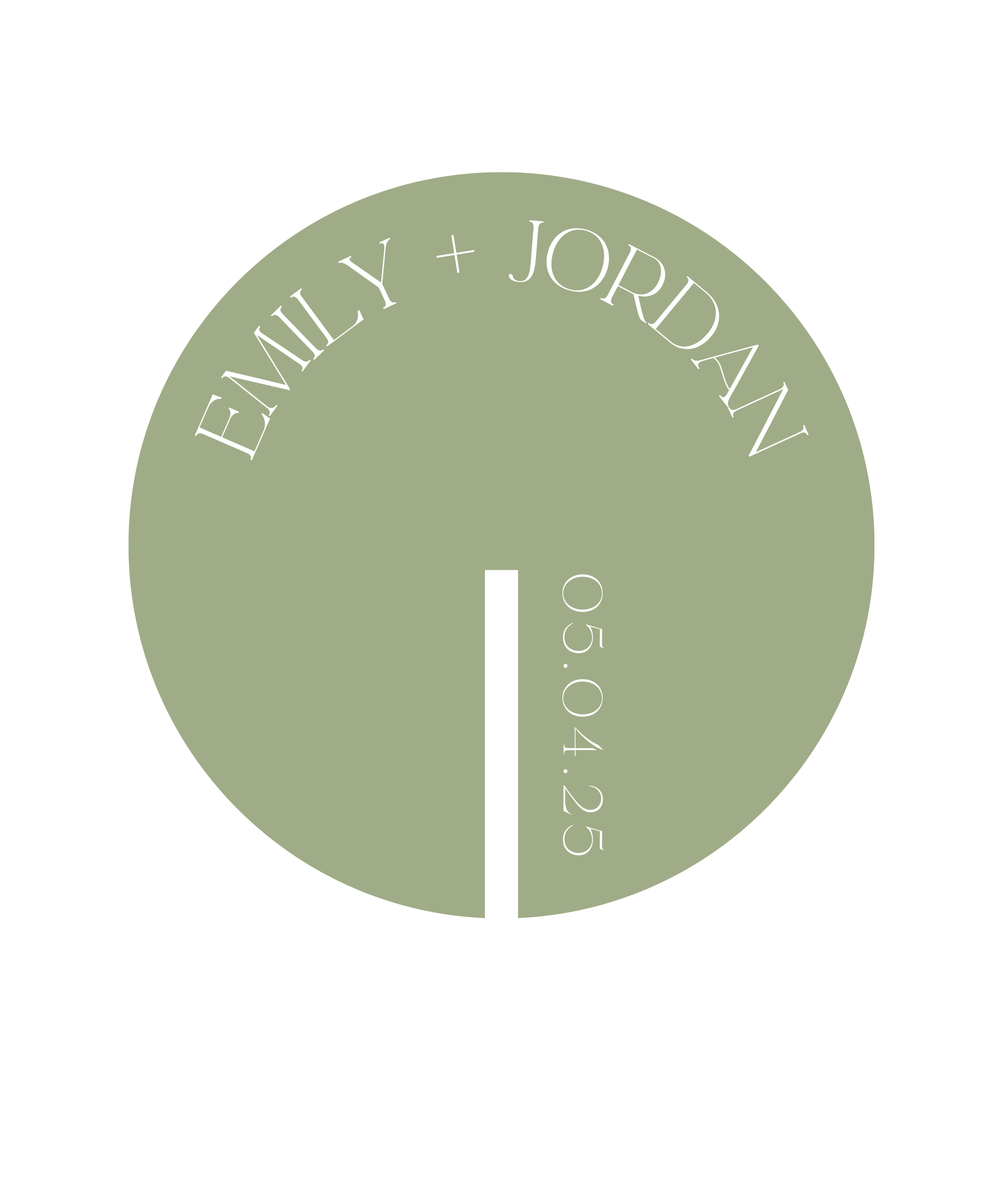 OLIVE DRINK DISCS