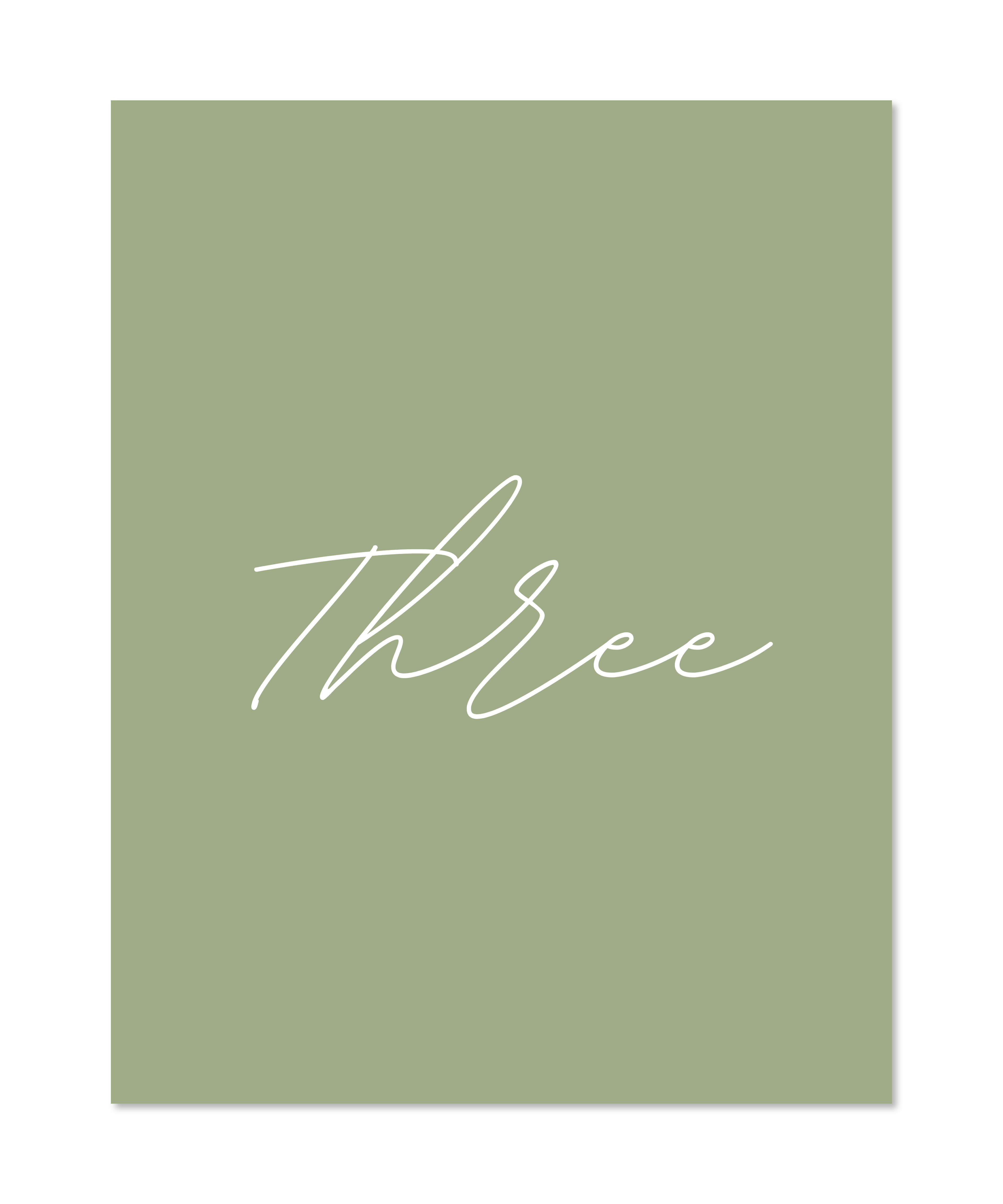 OLIVE TABLE NUMBERS